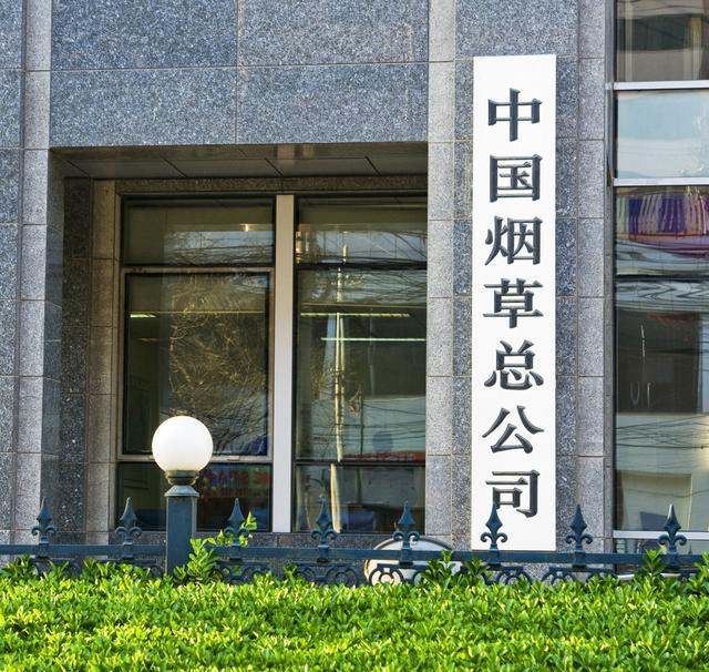 中国烟草公司招聘:这十类专业的毕业生最容易