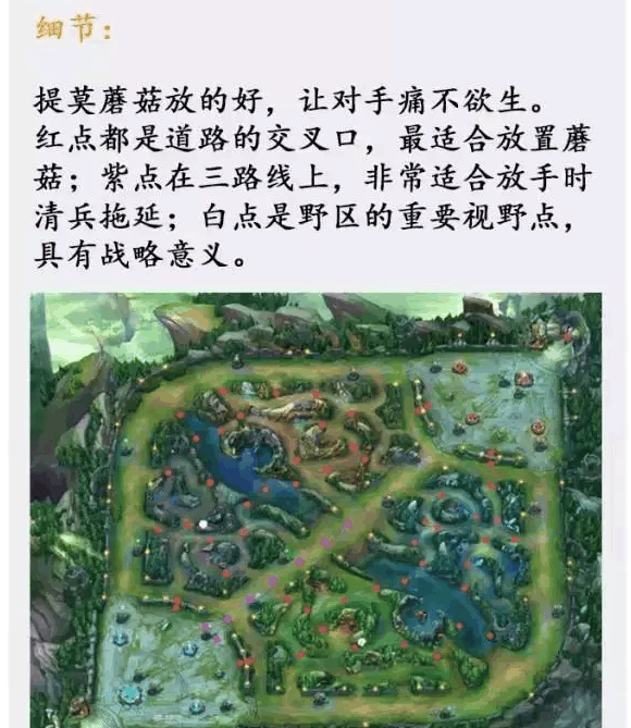 英雄联盟: 提莫上单新套路, LOL官方都佩服, 简直太完美了!