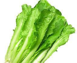 宝宝的,四个季节,四种蔬菜,春夏秋冬,吃它们会更