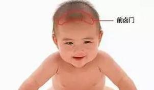 别急!婴儿头顶上的卤门闭合时间现在就告诉你