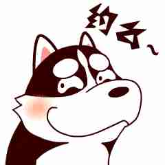 泸州首个迷迭香种植基地就在这儿! 泸州首个迷迭香种植基地就在这儿!