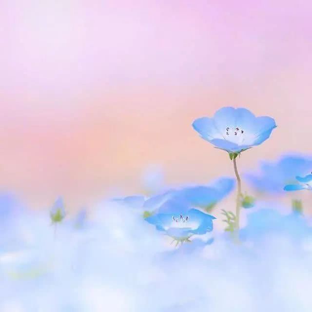 适合发说说精辟透彻的句子,句句深入人心