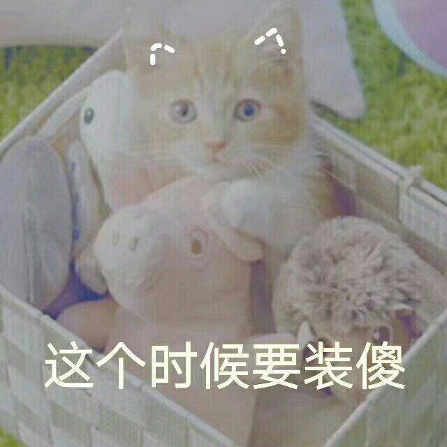 一组超萌超可爱表情包