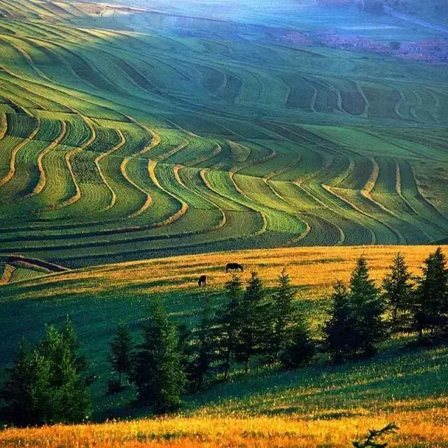 张北草原天路 中国的66号公路