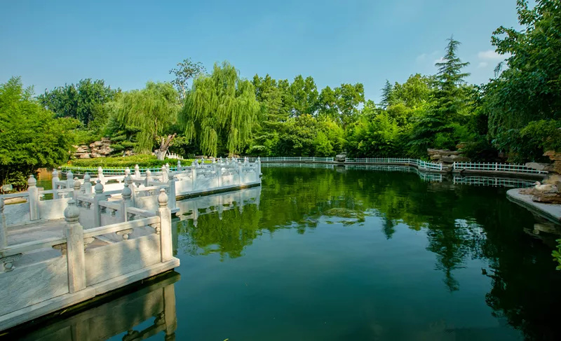 济南的夏天,也弥漫着诗意,让人心生欢喜