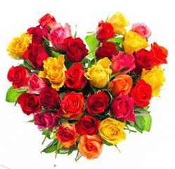 七夕,赠你玫瑰,送上美好祝福!祝七夕节快乐,健康永远!