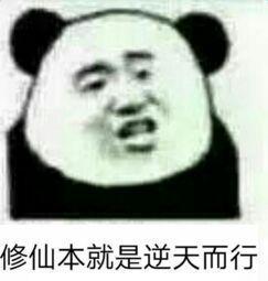 斗图表情包 路面畅通随时可以开车