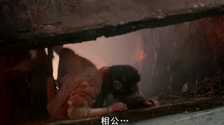 牛魔王的武力比白晶晶大出n倍.