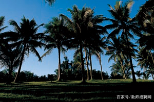 2018山东教师招聘结构化面试题之班主任如何