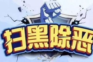 扫黑除恶专项斗争的基本原则是什么