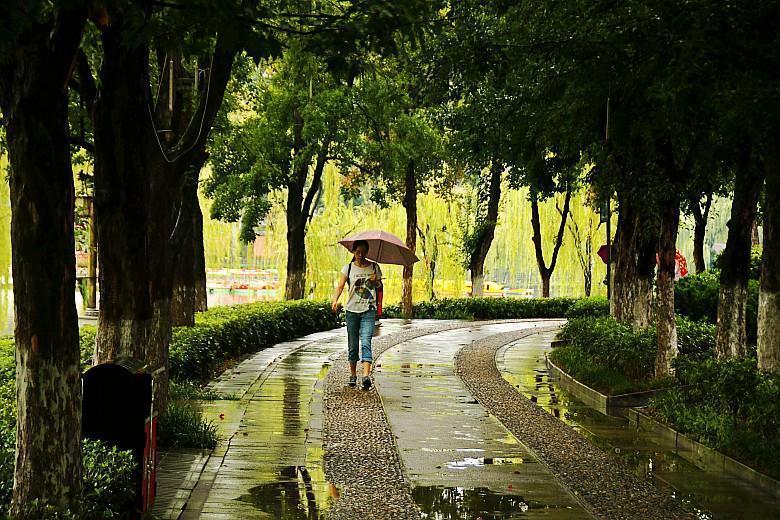 因为有雨, 秋雨中的兴庆公园, 美景如画, 别有一番景致