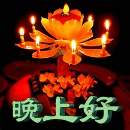 最新漂亮晚上好动态表情包 晚安温馨简短语录