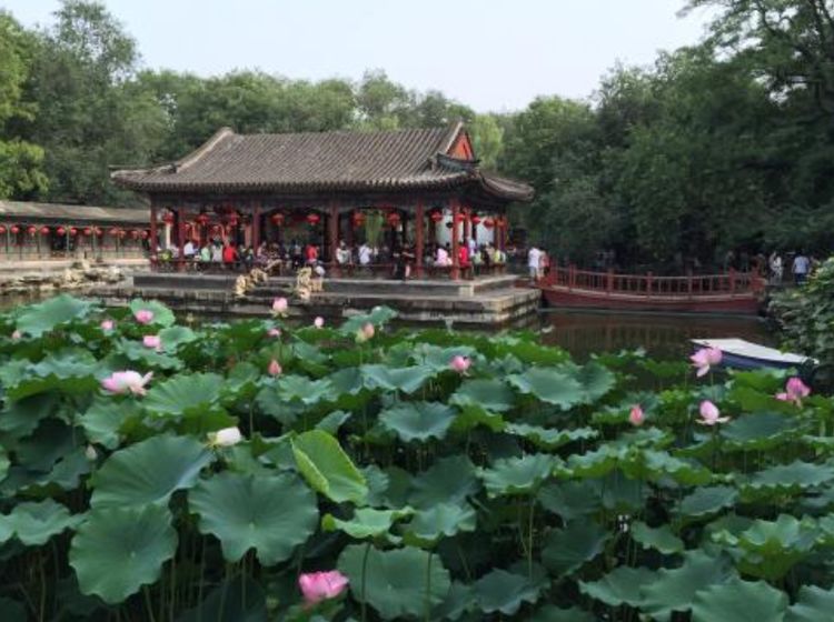 世界上最贵的房子在中国!一根柱子值27亿,连千