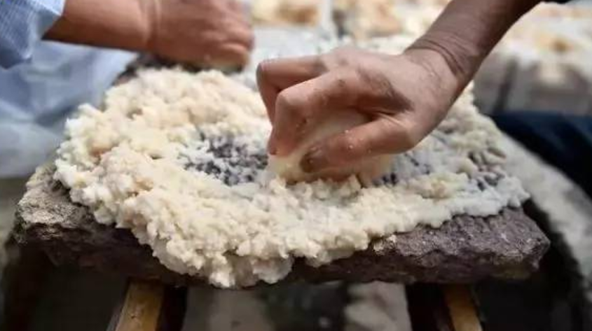 农民不种砂糖橘改种它,亩产量3000斤,收购价每