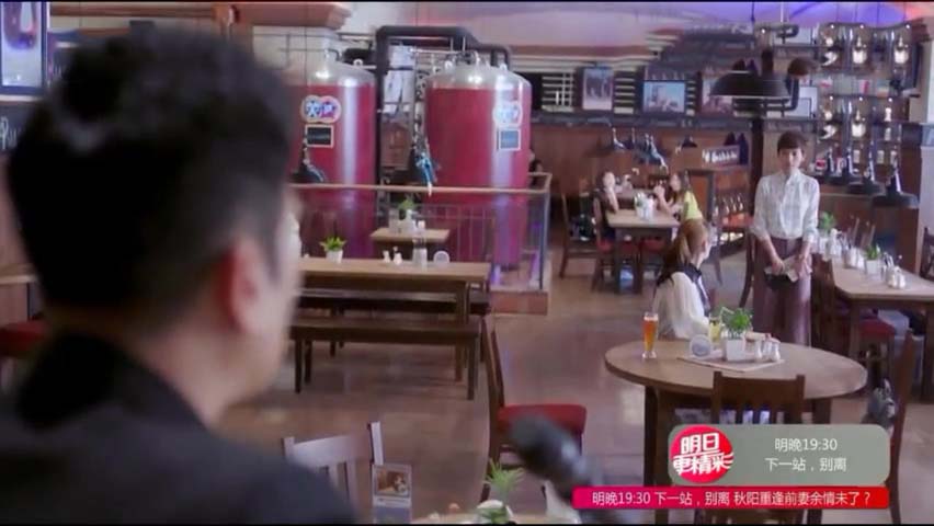 下一站别离:秋阳唱情歌表白盛夏,杨柳却深受感