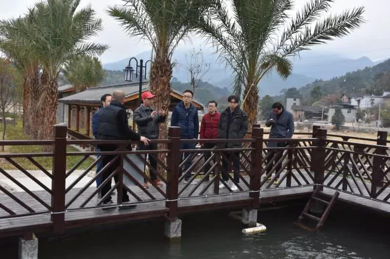 清华大学乡村振兴实践队赴闽清县考察