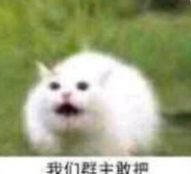 恶搞群主表情包