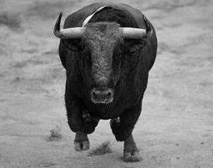 它是二战军衔最高动物