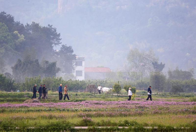农村老人60岁交不起养老保险 生活怎么保障?可