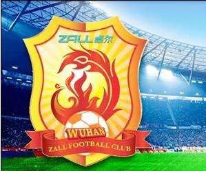 足球俱乐部,类似恒大名字,上港球衣,武汉卓尔队徽