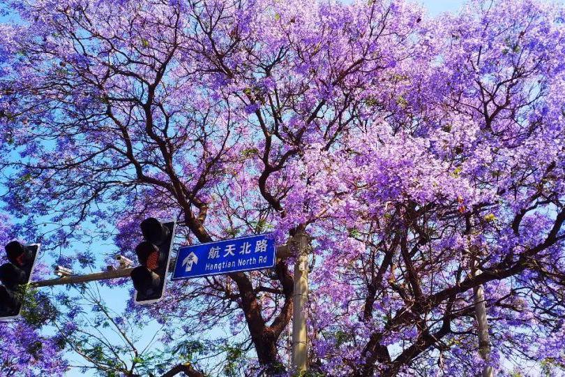 刷了一天抖音,我重新认识了四川!