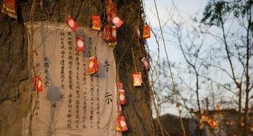 脚上有此特征,据说就是纯正的汉族人