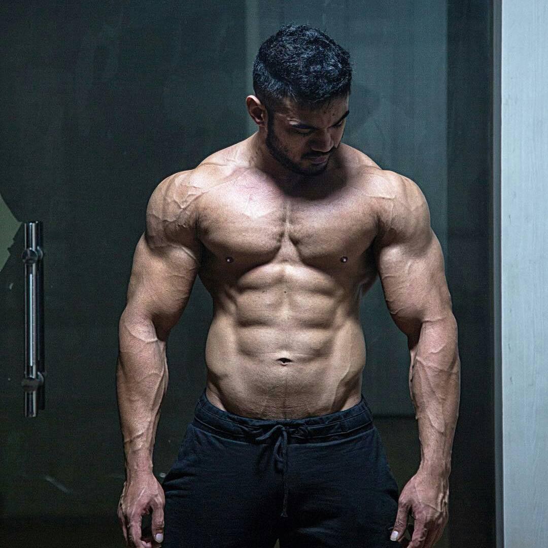 健身运动的分类要搞清楚,不是说举两下铁你就是在健身