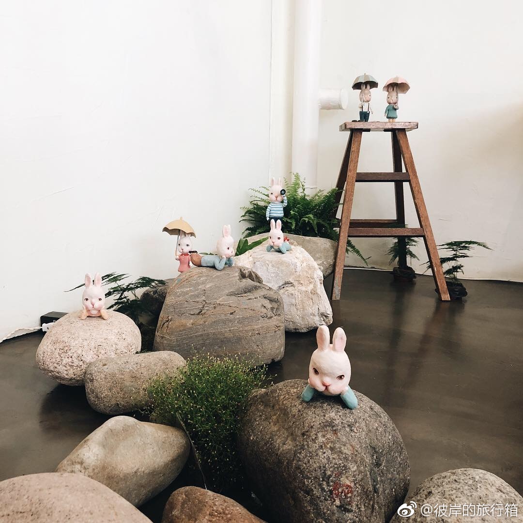 今日份可爱想做一只呆萌的兔纸小岛 | ISLAND