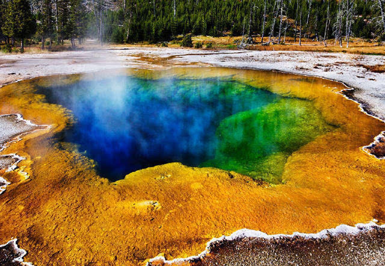 美国黄石公园, 最大的火山口之一, 面积最大的森林之一