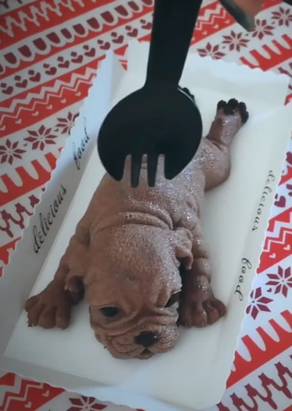 抖音网红狗狗蛋糕,主人一勺下去,旁边狗子的反