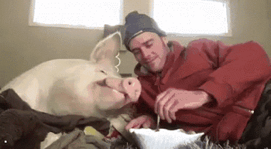 搞笑段子:美女这名字,让你以后的老公怎么喊你!