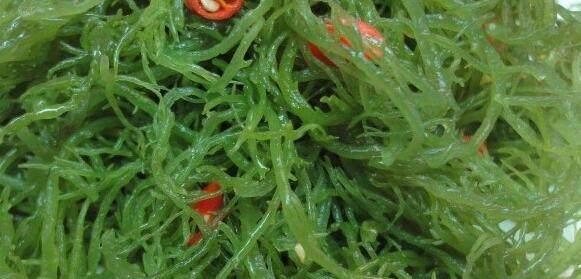 未来食物新选择 昆虫螺旋藻营养高吗