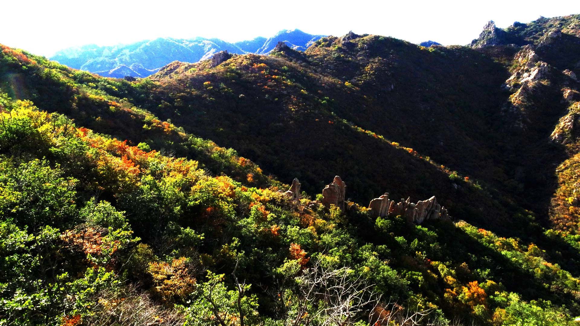 崇拜,大黑山那根巨石吸收了怎样的天地灵气