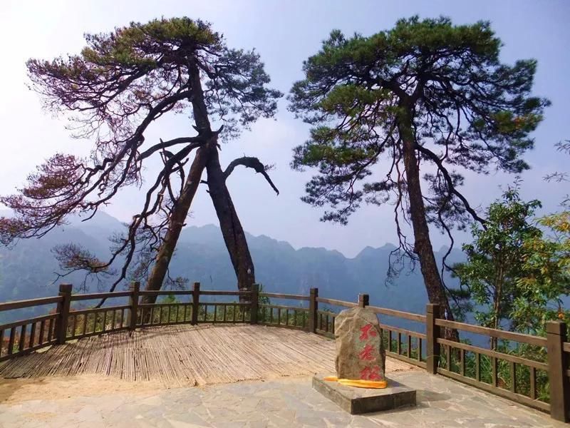 广东人,今年旅游就去广西吧!