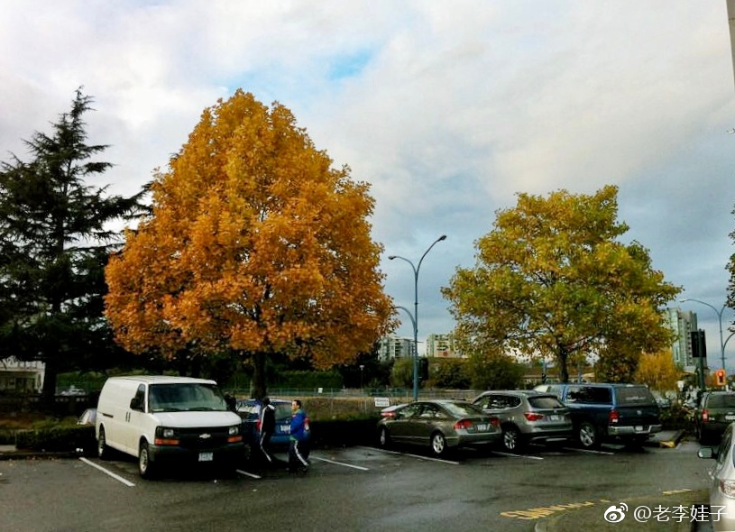 温哥华是加拿大离中国最近的城市,也是不需要