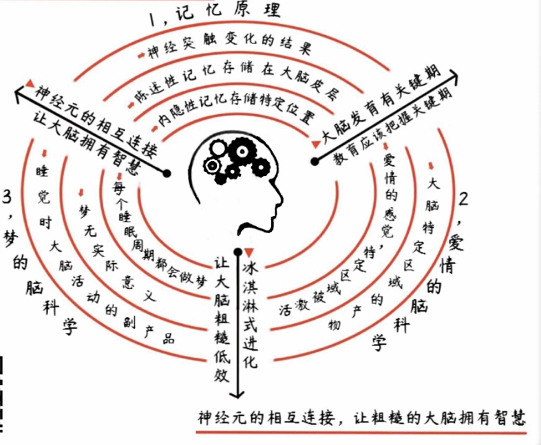 你看这就是大脑进化的大脑一书解读