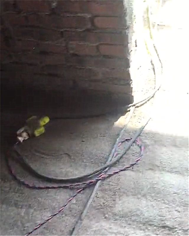 24万买比亚迪,到家才知没充电桩,车主只能这么做!网友:高手