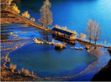 中大毕业生获智惠加最幸福大奖!985、211小伙