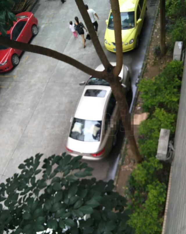 买辆吉利，取了个美女销售老婆，还有这种操作？