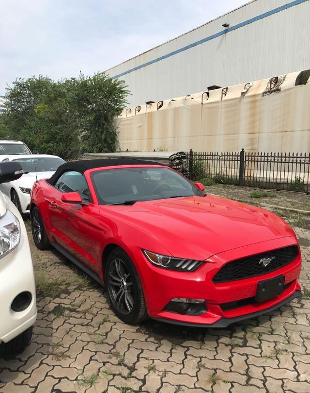 平行进口福特野马3.0T现场到港 平民跑车再次掀起赛道热潮