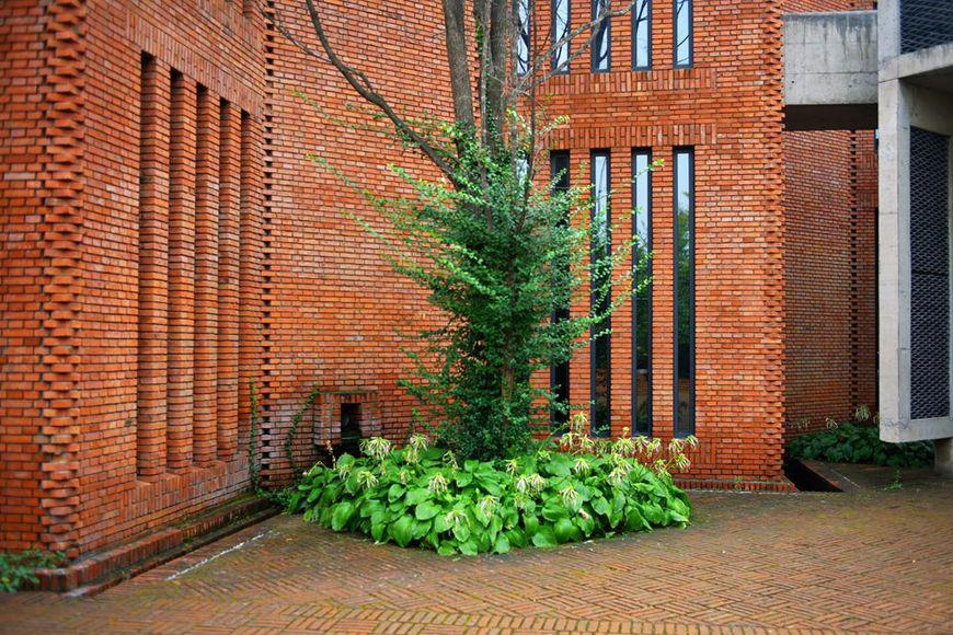 现在农村取消红砖建房,那有什么可以取代红砖