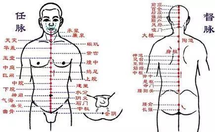 神奇的经络学!