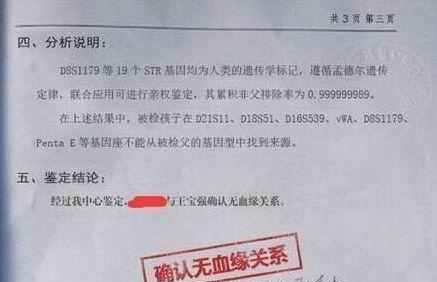 王宝强带儿子做亲子鉴定,宋喆狱中说实情,孩子