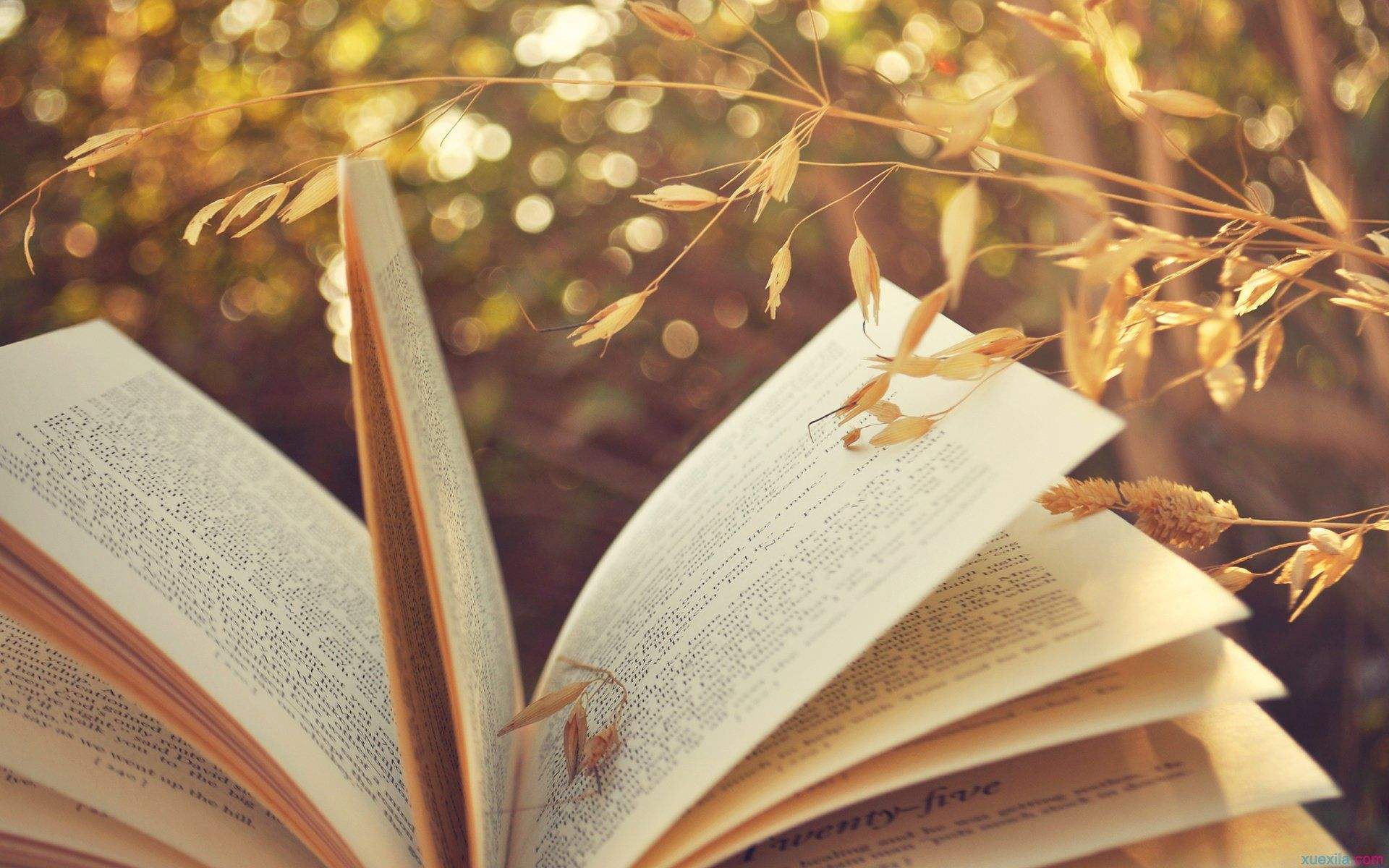 2018年西安小升初面谈技巧攻略!四大方面要