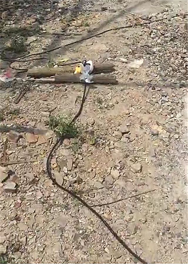 24万买比亚迪,到家才知没充电桩,车主只能这么做!网友:高手