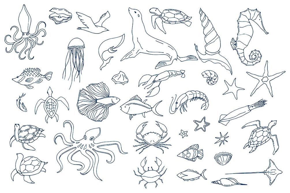 海鲜海产动物包装线稿鱼虾蟹手绘海洋生物ai psd设计素材 更多详情