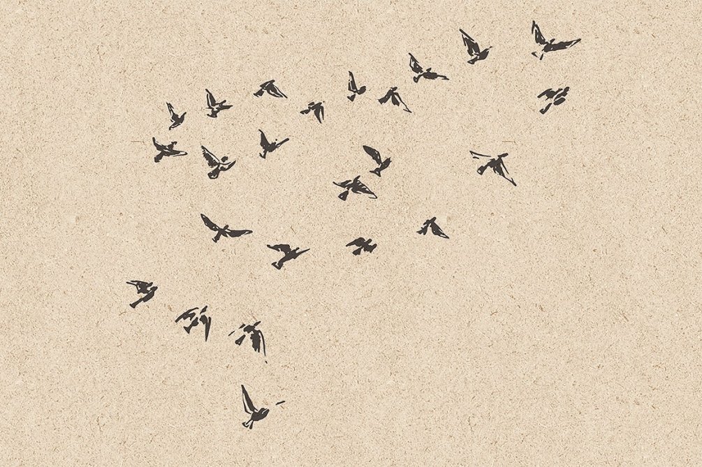 燕窝燕子动物线稿包装复古手绘鸟群图案元素ai设计素材更多详情