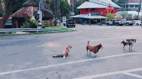 560_314 gif 动态图 动图