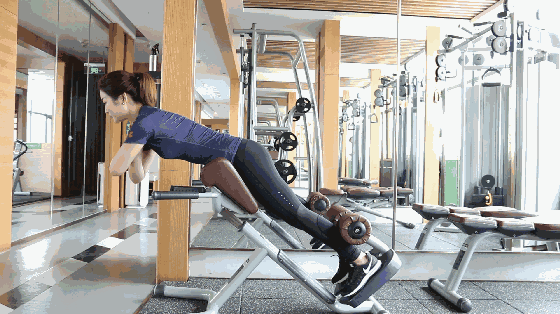 想知道健身房神秘器械的用处吗?一起来探索其中的奥秘