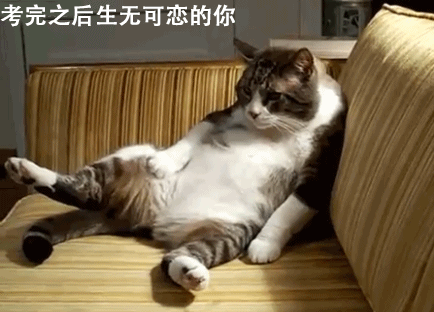 壁纸 动物 猫 猫咪 小猫 桌面 434_312 gif 动态图 动图